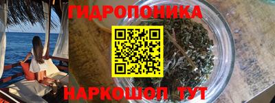 дживик Бийск