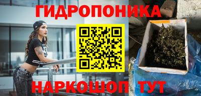 дживик Бийск