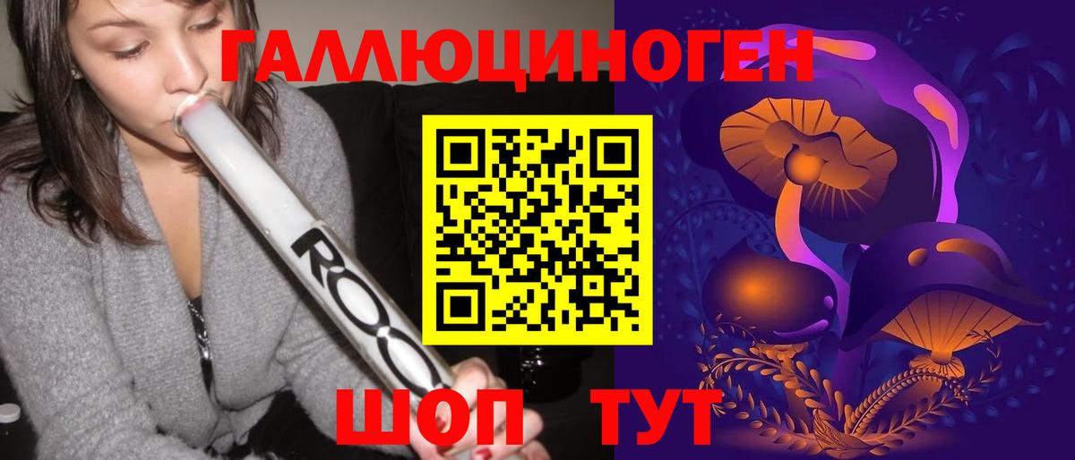 Псилоцибиновые грибы Cubensis Ковров